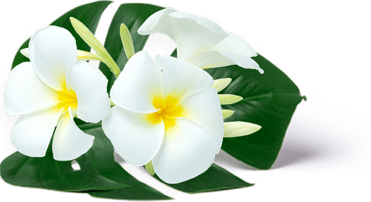 best thai spa in Amritsar lawrence road